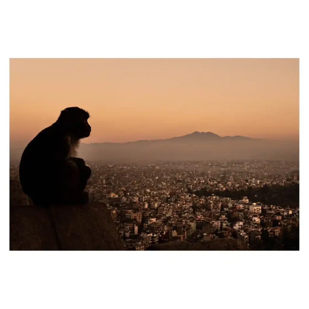 Nepal, photographed by Will Meyrick