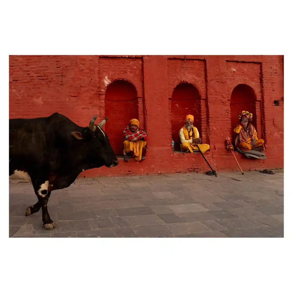 Nepal, photographed by Will Meyrick