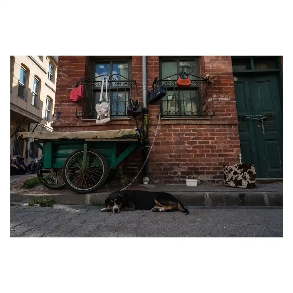 Türkiye, photographed by Will Meyrick