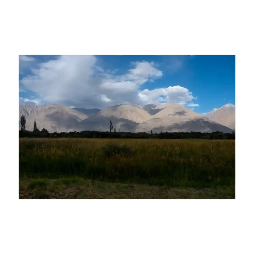Mountain landscape in Ladakh, India, photographed by Will Meyrick