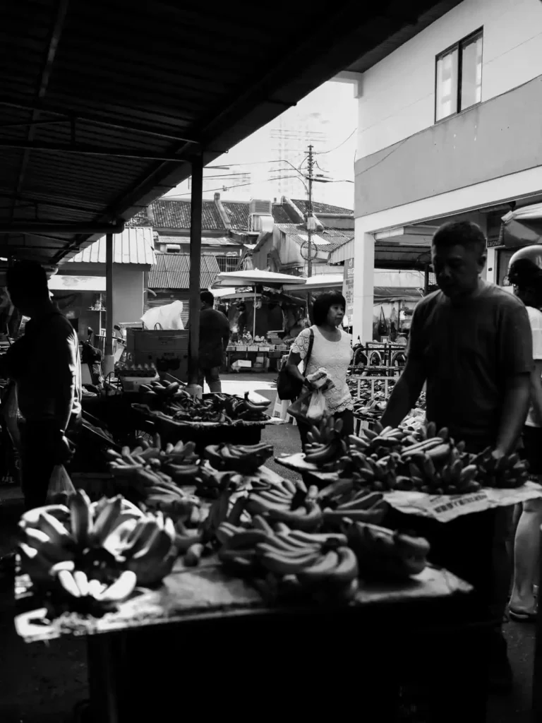 Penang, Malaysia, photographed by Will Meyrick