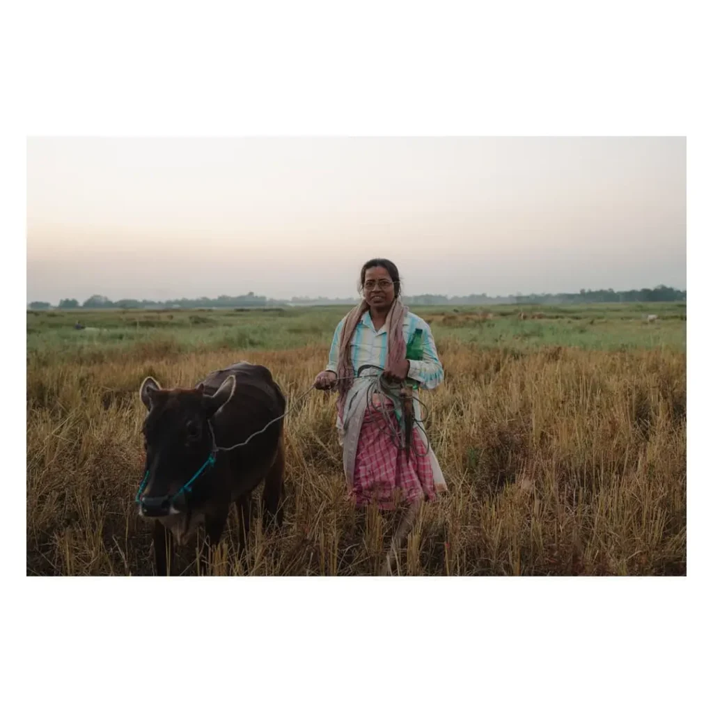 Majuli, Assam, India, photographed by Will Meyrick