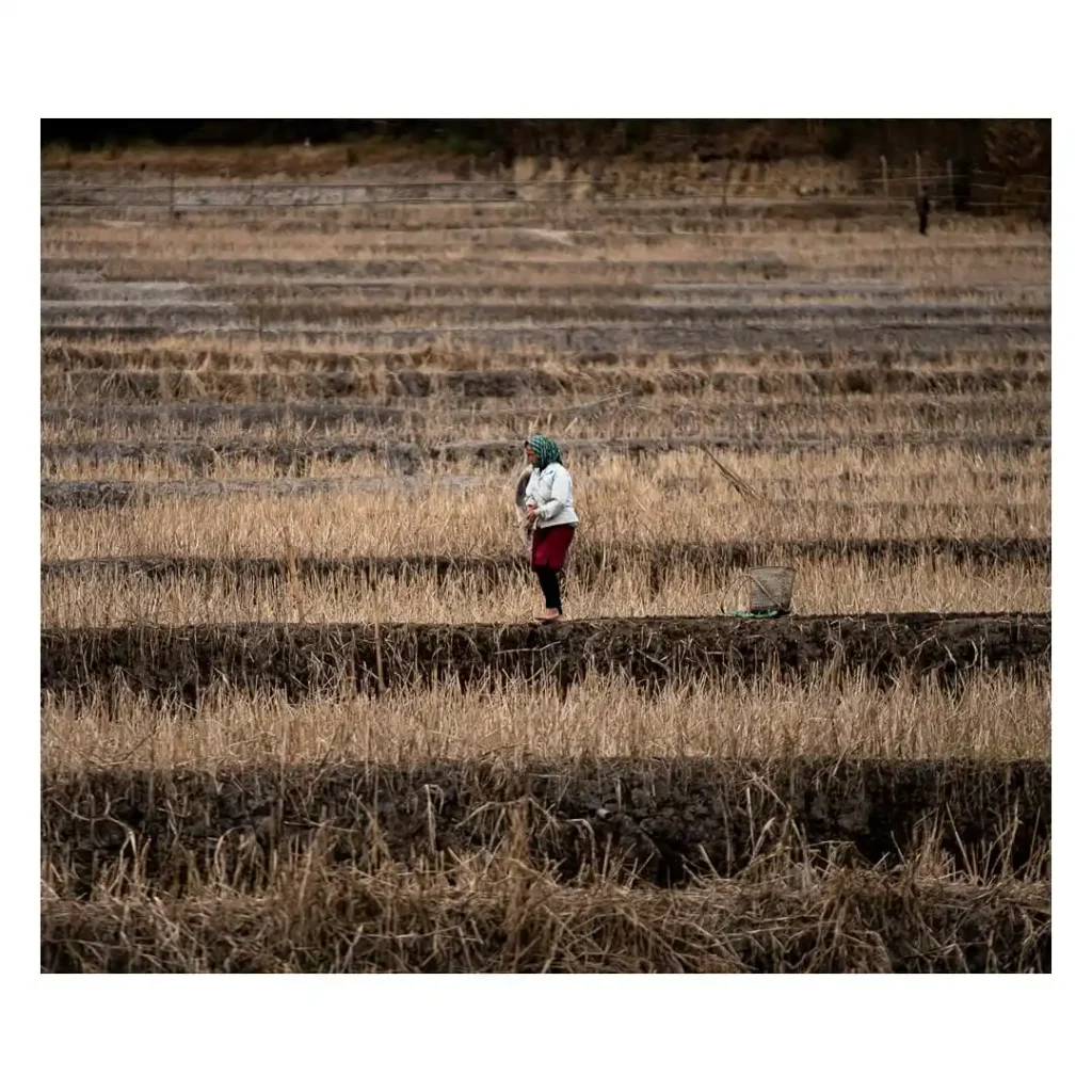 The Ziro Valley, Arunachal Pradesh, India, photographed by Will Meyrick