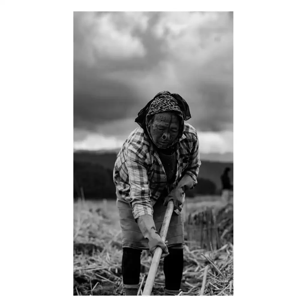 The Ziro Valley, Arunachal Pradesh, India, photographed by Will Meyrick